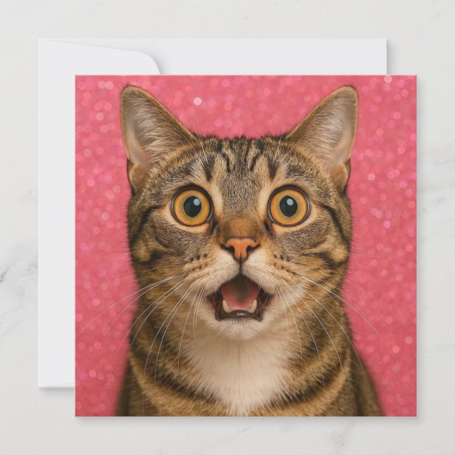 Surprised Cat Greeting Card. Card (Front)