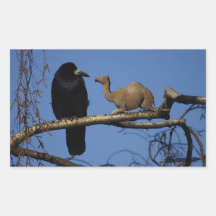 Surprised Crow Rectangular Sticker