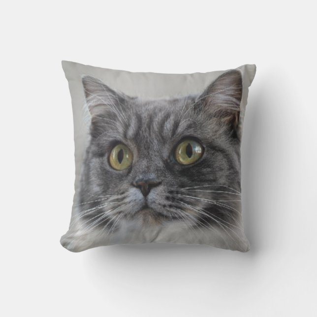 Surprised grey cat, a distinctive breed cushion (Front)