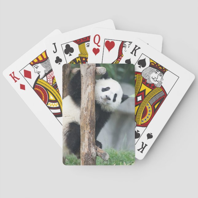Surprised Panda Cub Playing Cards (Back)