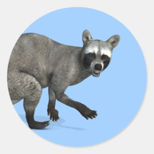 Surprised Racoon Classic Round Sticker