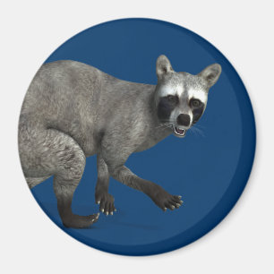 Surprised Racoon Magnet