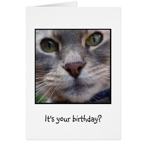 Surprized Cat, It's your birthday? Greeting Card | Zazzle