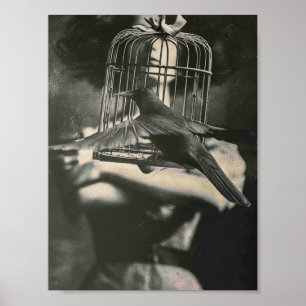 Surreal Black and White Caged Bird and Lady Poster