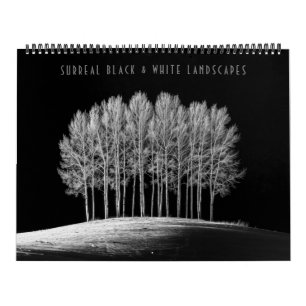 Surreal Black & White Landscapes Calendar
