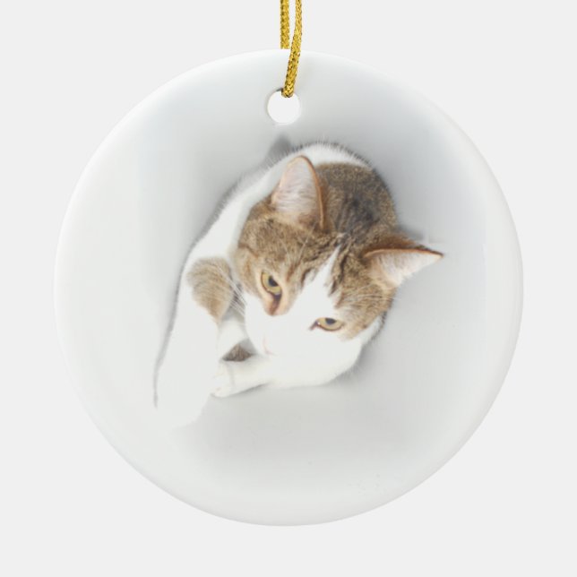Surreal Cat in the Light Ceramic Ornament (Front)