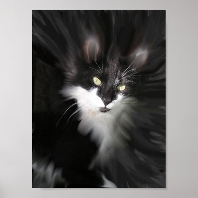 Surreal Cat Print (Front)