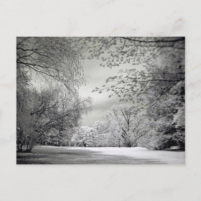 Surreal false colour infrared spring landscape. postcard (Front)