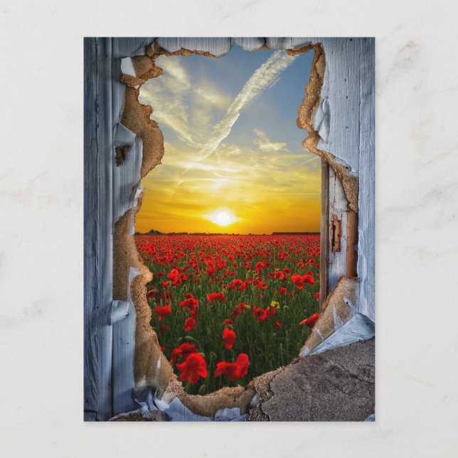 Surreal Fantasy Postcard (Front)