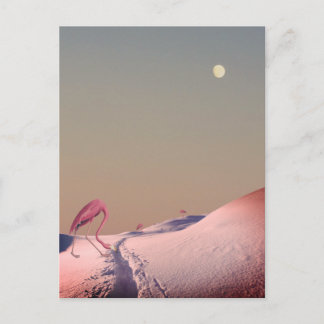 Surreal flamingos in snow postcard