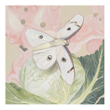 Surreal Moth
