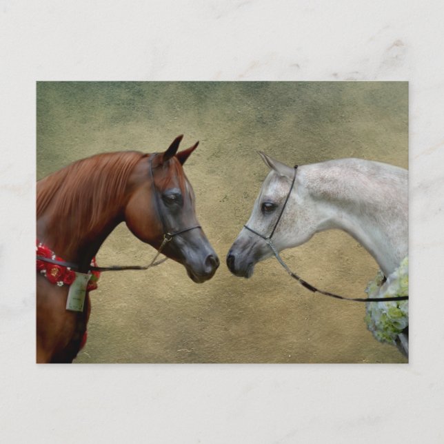 Surreal two horses painting. postcard (Front)