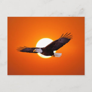 Surreal Venus in transit Postcard