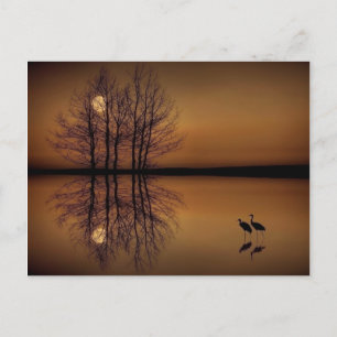 Surrealism Post Card