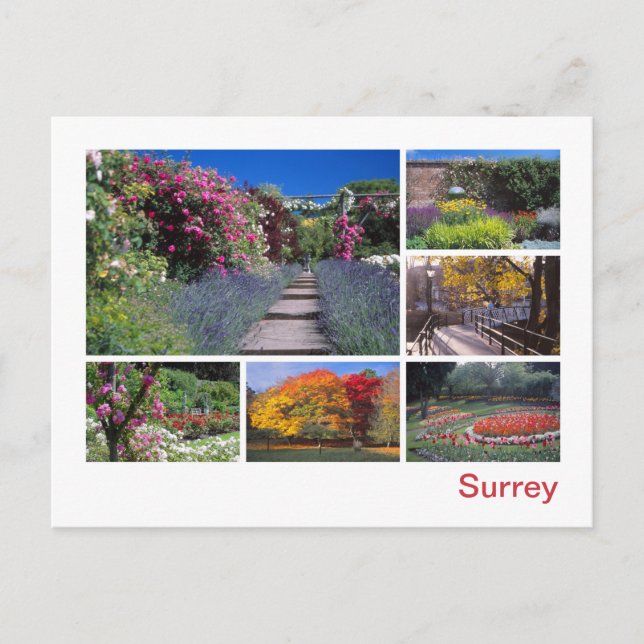 Surrey Postcard (Front)