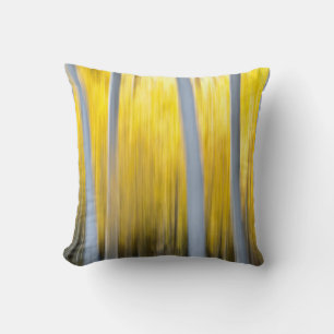 surrounded by Aspen trees Cushion
