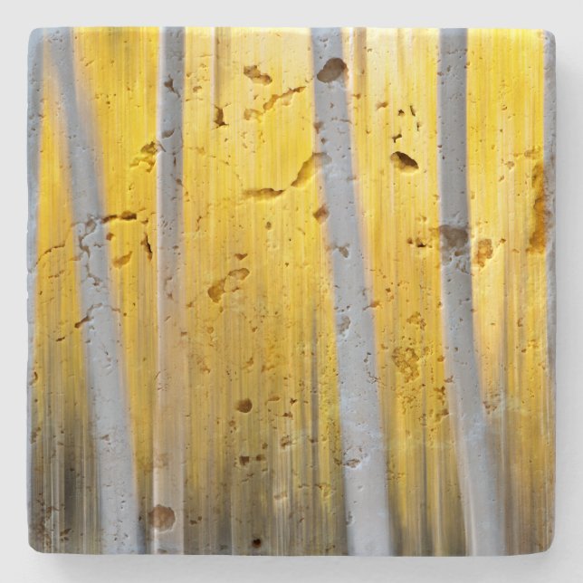 surrounded by Aspen trees Stone Coaster (Front)