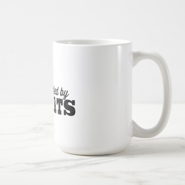 Surrounded by Asshats - Mug Shot. (Right)