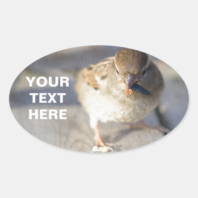 Survival Of The Fittest Oval Sticker (Front)