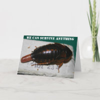 Survive Anything Anniversary Cockroaches