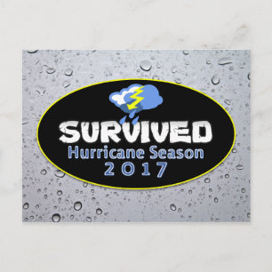Survived hurricane season 2017 postcard