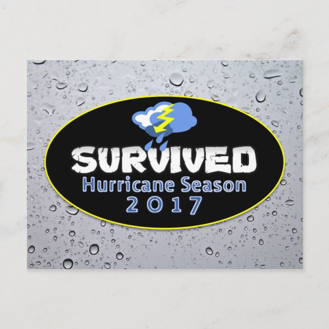 Survived hurricane season 2017 postcard (Front)