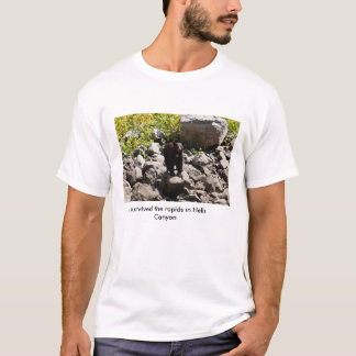 Survived the rapids in Hells Canyon T-Shirt