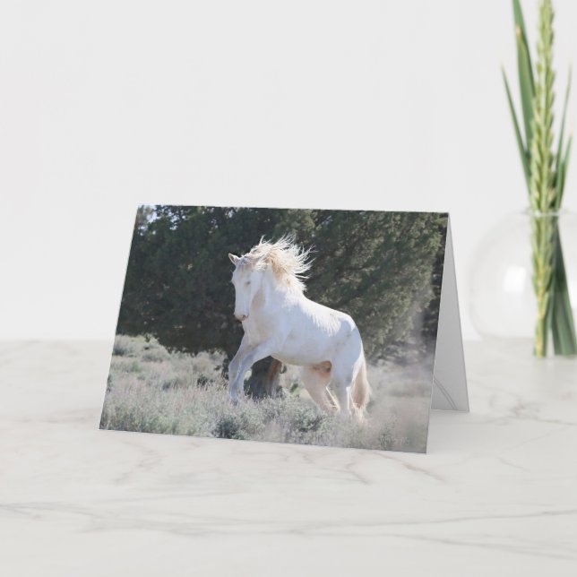 Survivor Greeting Card (Front)