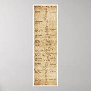 Suryanamaskara - The Sun Salutation - Portrait Poster