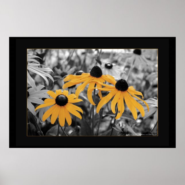 Susan Three Poster (Front)