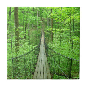 Suspension Bridge Ceramic Tile