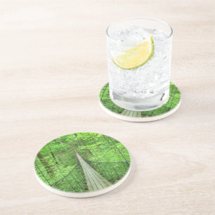 Suspension Bridge Coaster