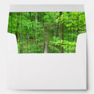 Suspension Bridge Envelope