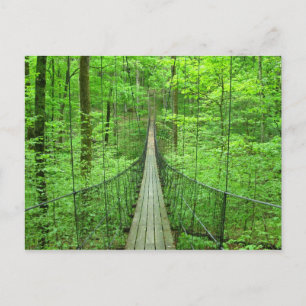 Suspension Bridge Postcard