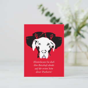 Süße Dogge in weiß Postcard