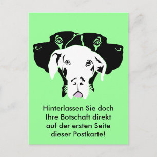 Süße Dogge in weiß Postcard
