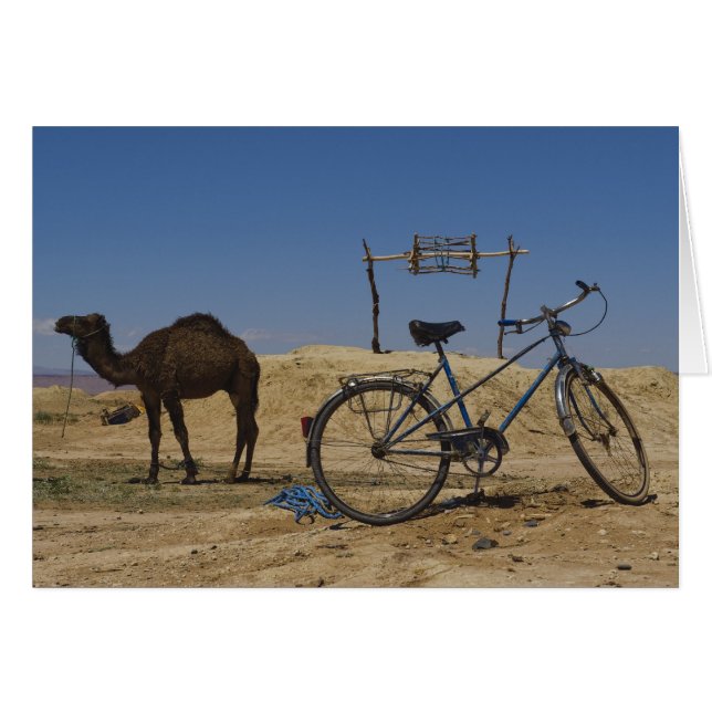 Sustainable transportation (Front Horizontal)