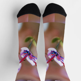 sustainablesocks socks