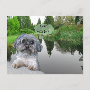 Sutcliffe Park, Vancouver, BC Postcard