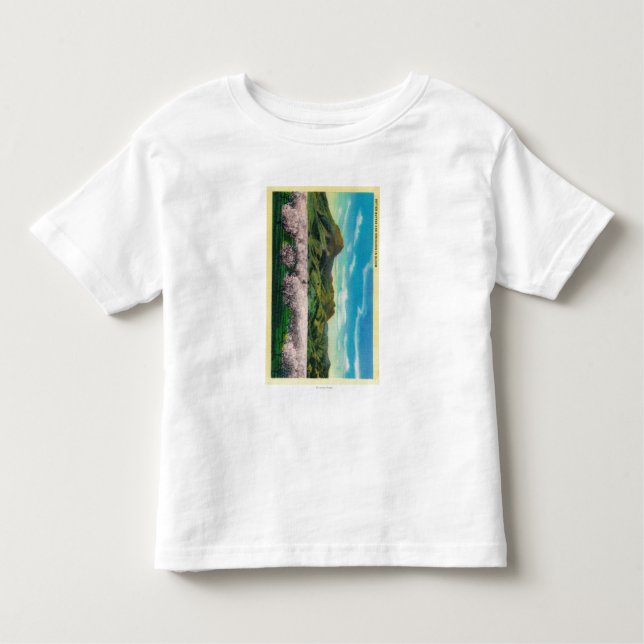 Sutter Buttes and Orchards in Bloom Toddler T-Shirt (Front)