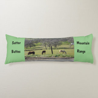 Sutter Buttes Mountain Range with body pillow. Cushion