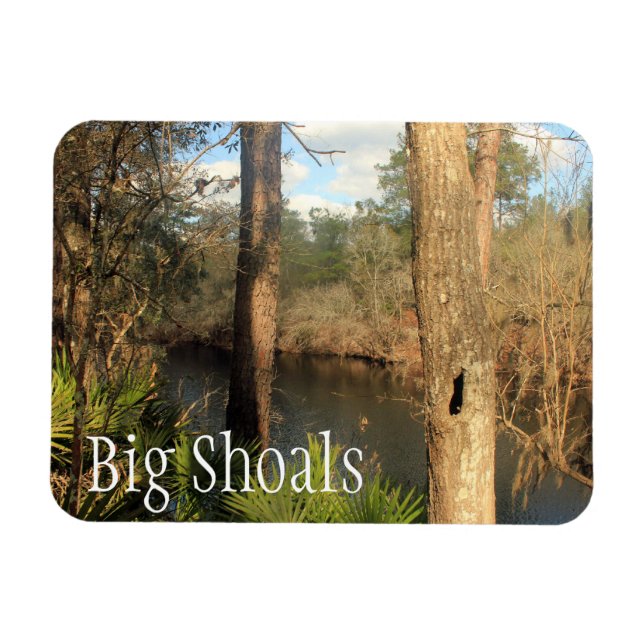 Suwanee River, Big Shoals State Park, Florida Magnet (Horizontal)