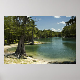 Suwannee River Beach Print