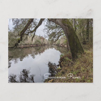 Suwannee River Postcard