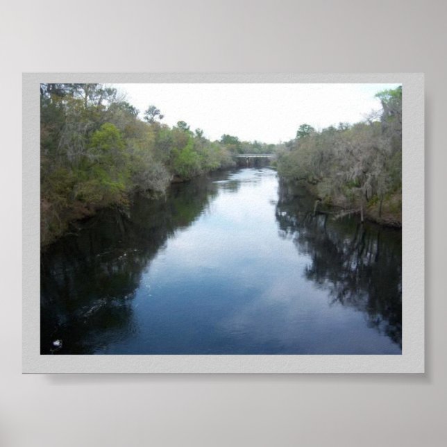 Suwannee River View Florida Poster (Front)