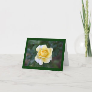 Suzanne's yellow rose thank you card