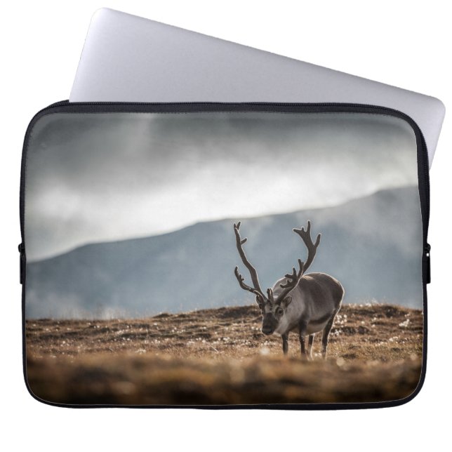 Svalbard Reindeer Nature Photo Laptop Sleeve (Front)