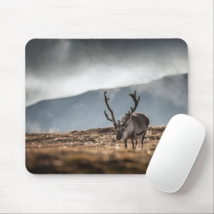 Svalbard Reindeer Nature Photo Mouse Pad