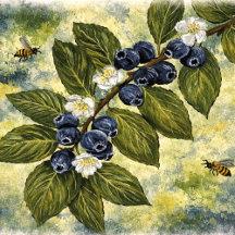 Botanical Art Collection