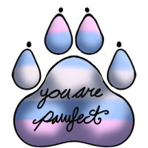 Pride paws